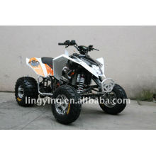 EEC 300cc legal esporte ATV/moto